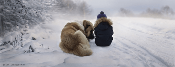 Fotógrafa rusa crea imágenes de sus hijos tal como son: despreocupados, salvajes y felices
